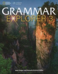 Grammar Explorer 3 - Classroom Presentation Tool DVD-Rom
