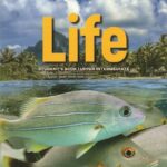 Life Upper-Intermediate, Second Edition (British English) [Original PDF + Resources]