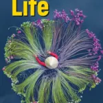 Life 3, Third Edition (American English) [Original PDF + Resources]