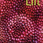 Lift 2 [HQ PDF + Resources]