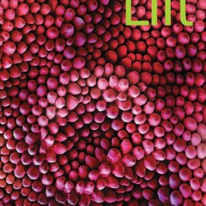 Lift 2 [HQ PDF + Resources]