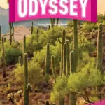 New Odyssey 2 [HQ PDF + Resources]