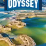 New Odyssey 5 [HQ PDF + Resources]