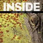 Inside B [PDF + Resources]