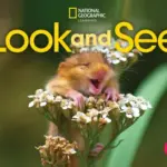 Look and See 1 (British English) [Classroom Presentation Tool WIN]