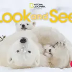 Look and See 2 (British English) [Classroom Presentation Tool WIN]