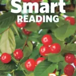 Smart Reading 3.2 [High Quality PDF + Resources]