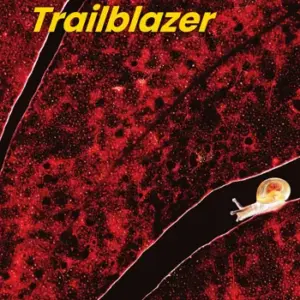 Trailblazer 3 [Original PDF + Resources]
