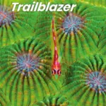 Trailblazer 4 [Original PDF + Resources]