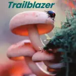 Trailblazer Starter [Original PDF + Resources]