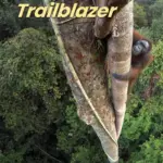 Trailblazer 1 [Original PDF + Resources]