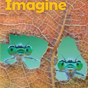 Imagine AME Starter - High Quality PDF, Resources