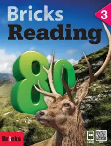 Bricks Reading 80 Level 3 [HQ PDF + Resources]
