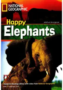 Happy Elephants