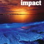 Impact 4 (British English) [Classroom Presentation Tool MAC]