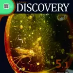 e-future Discovery 5.1 (160 Words) [HQ PDF + Resources]