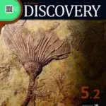 e-future Discovery 5.2 (180 Words) [HQ PDF + Resources]